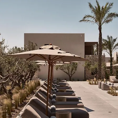 Theros - Adults Only