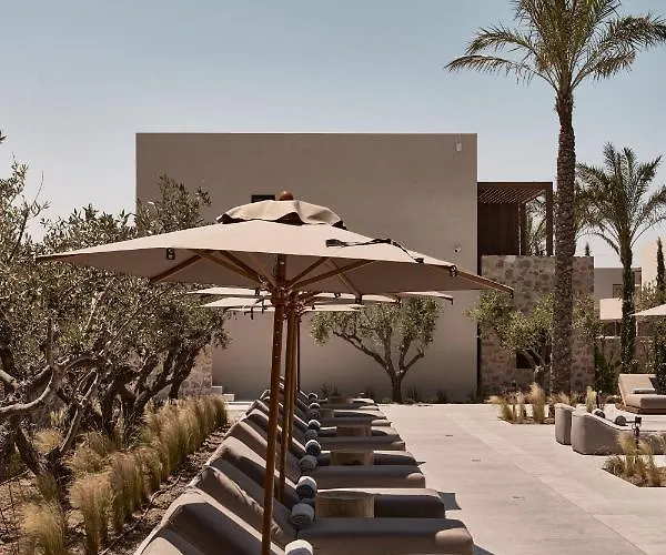 Theros - Adults Only