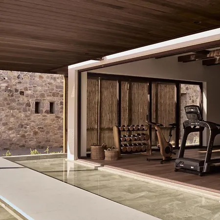 Theros - Adults Only Kosz